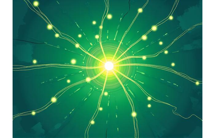 Stylized map of Atlanta with interconnected dots representing VitaSprout Gardens' network of local wellness partnerships.